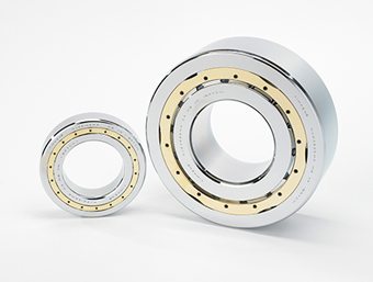 NP型圆柱滚子轴承 (RIT, RT)